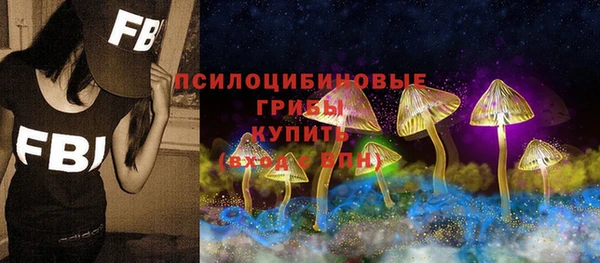 кокаин премиум Богданович
