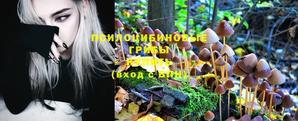mix Белокуриха
