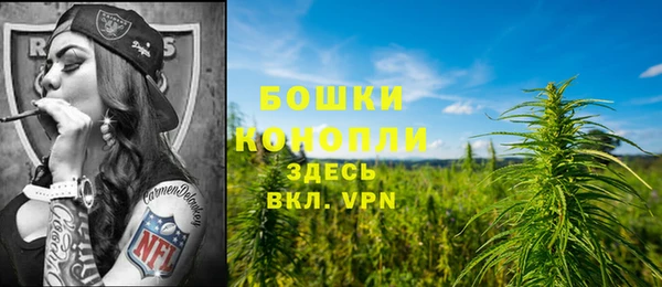 прущая мука Богородицк