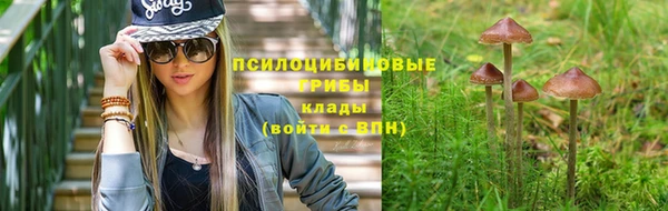прущая мука Богородицк